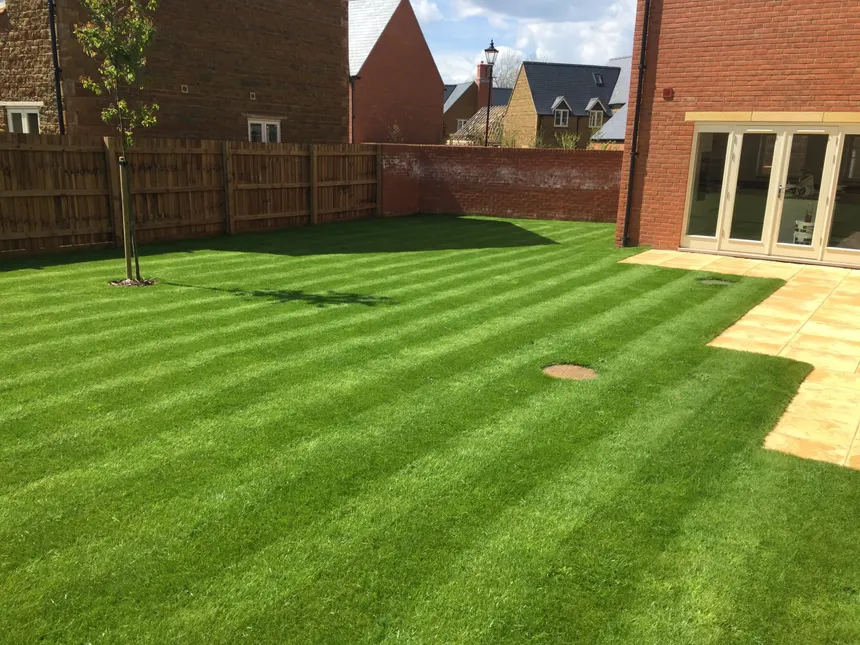 Pristine lawn